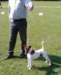 img210_small.jpg