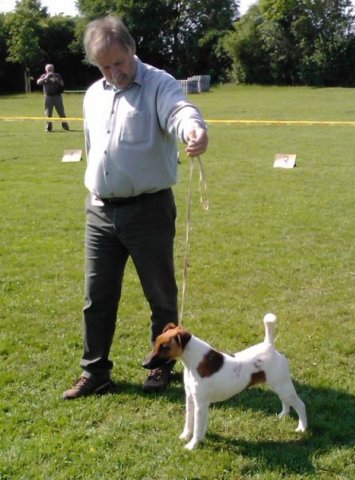 img211.jpg