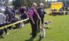 img220_small.jpg