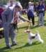 img226a2_small.jpg