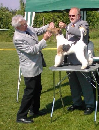 img227.jpg