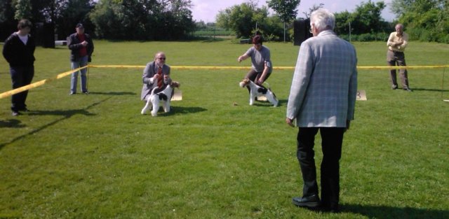 img2292.jpg