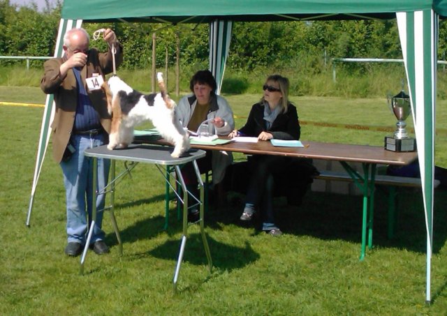 img230.jpg