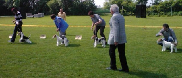 img2322.jpg