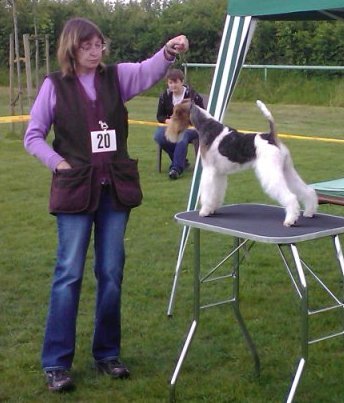 img2363.jpg