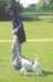 img237a2_small.jpg