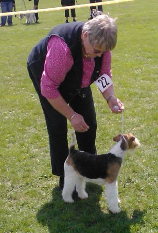 img2393.jpg