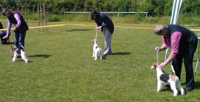 img2413.jpg