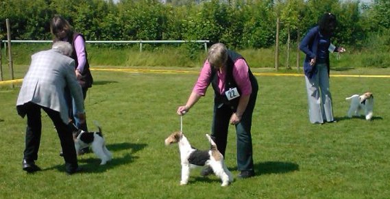 img2422.jpg