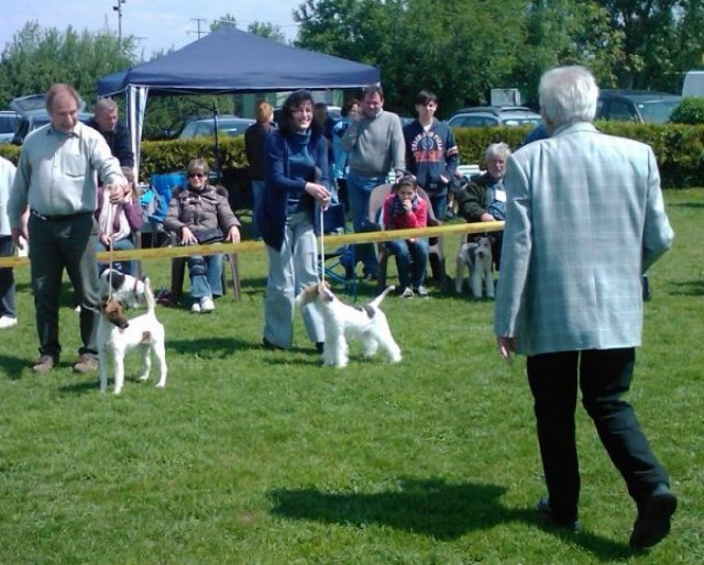 img2433.jpg