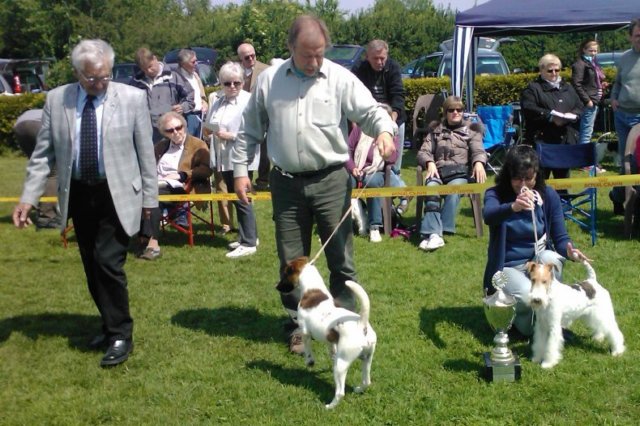 img2462.jpg