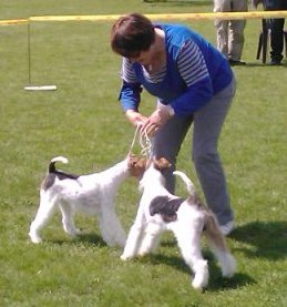 img248.jpg