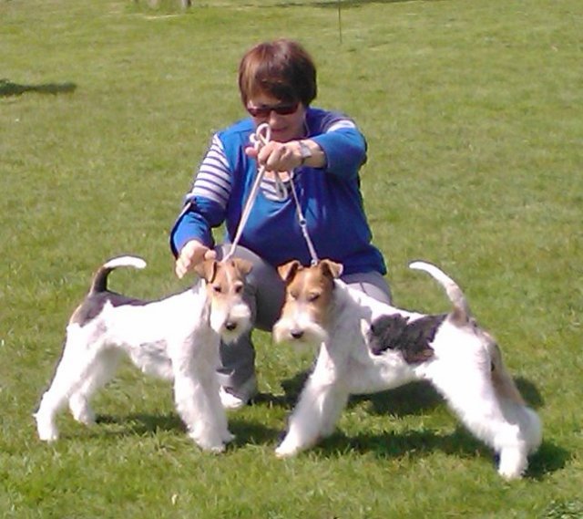 img2492.jpg