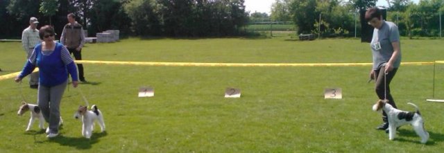 img250.jpg
